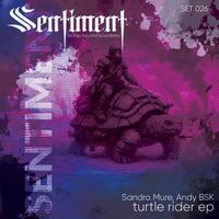 Sandro Mure & Andy BSK - Turtle Rider