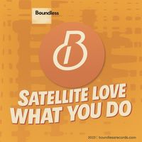 Satellite Love - What You Do