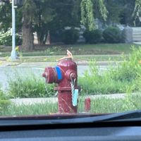 Cello - Hex + Fire (Explicit)