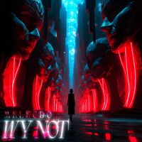Melecdo - Wy Not