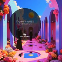 Perry Martin - What The Funk