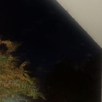 Friday night - Girl I love you known you for 13 years (Explicit)