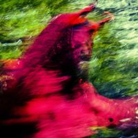 Raziel - Ghosts In Silk