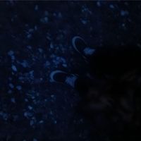 trenches - Lost Guap