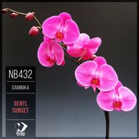 Daminika - Gentl Sunset