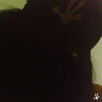 Mori Mori - BBV (Deluxe)