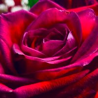 Ken Martin - A Woman's Mind