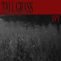 IVY - Tall Grass