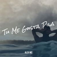alex mc - Tu Me Gusta Pila