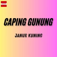 Janur Kuning - Caping Gunung