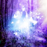 PSYCHE - INTO THE ETHER