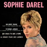 Sophie Darel - N'avoue jamais