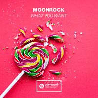 Moonrock - What You Want (Extended Mix)