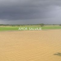 Cholo Valderrama - Amor Salvaje