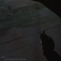 4am - Un camino maltrecho