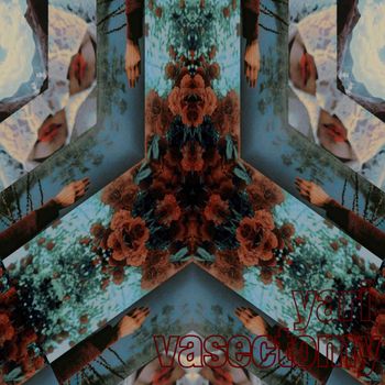 Yari - VASECTOMY