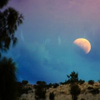 Lake Night - Moonfields
