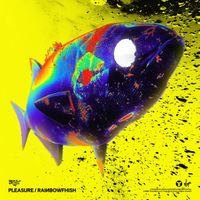 Moore Kismet - PLEASURE / RAINBOWFHISH