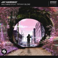 Jay Hardway - Wild Mind (feat. Tiffany Blom) (Extended Mix)