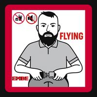EmBe - Flying