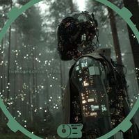 Haveck - Introspective State