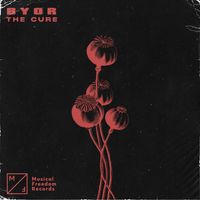 BYOR - The Cure (Extended Mix)