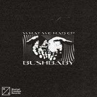 Bushbaby - What We Had EP