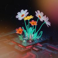 Found - Glitch in My Heart