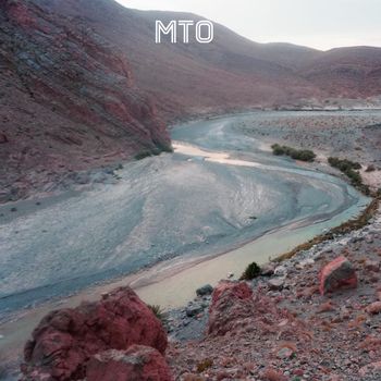 blackfish - Mto
