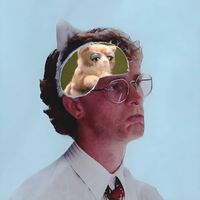 bog - Cat Song