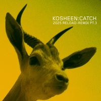 Kosheen - Catch (2025 Reload-Remix, Pt.3)