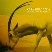 Kosheen - Catch (2025 Reload-Remix, Pt.4)