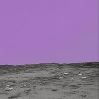 Malik Faquir - Joie De Vivre