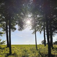 PatRice - Sonne und Schatten