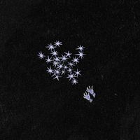 niquo - two stars