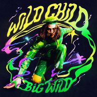 Big Wild - Anymore
