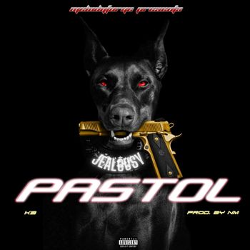 KB - Pastol