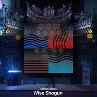 Self Deception - Wise Shogun
