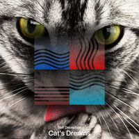 Self Deception - Cat's Dreams