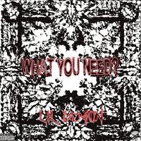 Lil Demon - What You Need? (Explicit)