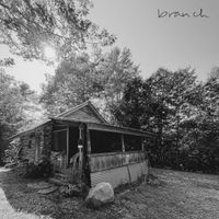 branch - homes / owls