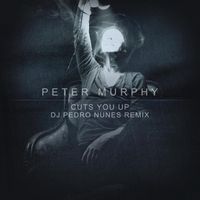 Peter Murphy - Cuts You Up (Remix)