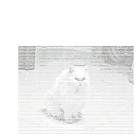 Scorched Evrth - DEA