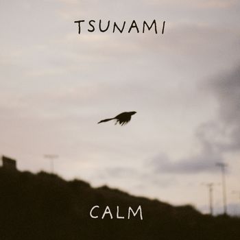 BlackLight - Tsunami Calm (Explicit)