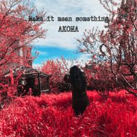 AKONA - Make It Mean Something