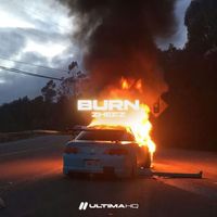 zheez - BURN