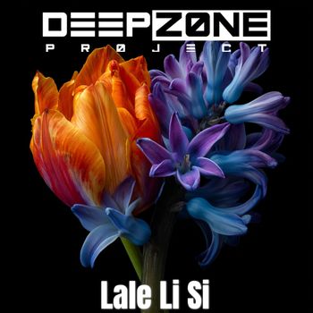Deep Zone Project - Lale Li Si