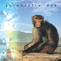 Salmonella Dub - Calming of the Drunken Monkey (2025 Remastered Version)