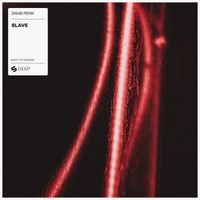 David Penn - Slave (Extended Mix)