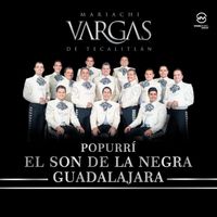 Mariachi Vargas de Tecalitlán - El Son De La Negra / Guadalajara (Popurrí)